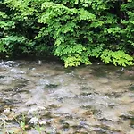 מלון Hotel&restaurant Zur Post אייזנרץ